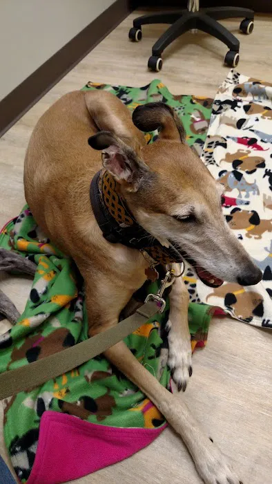 VCA Boone Animal Hospital Picture 9