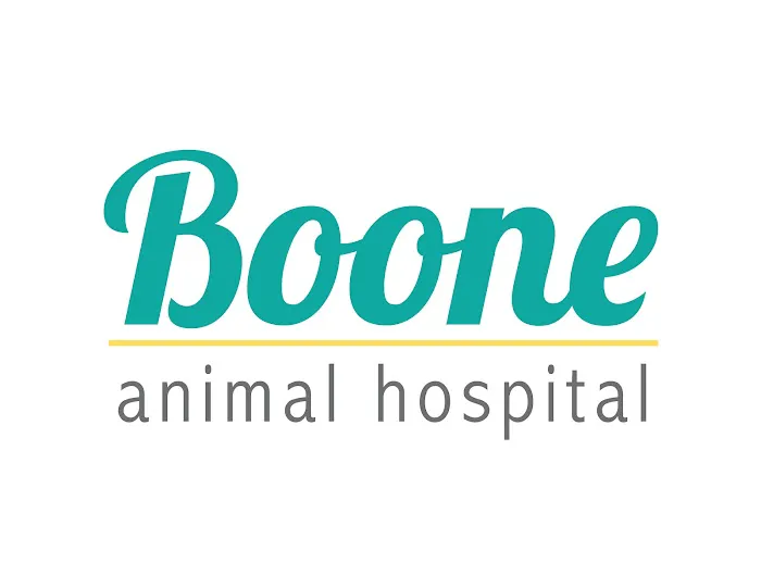 VCA Boone Animal Hospital Picture 5