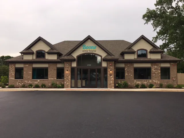 VCA Boone Animal Hospital Picture 2