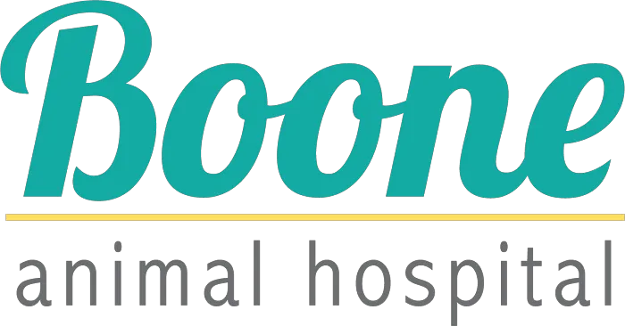 VCA Boone Animal Hospital Picture 6