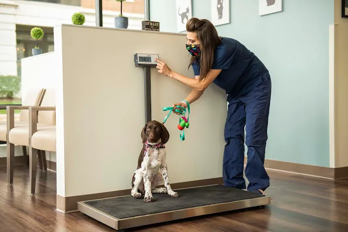Harvester Veterinary Hospital of Burr Ridge Picture 9