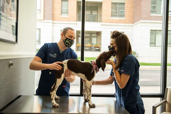 Harvester Veterinary Hospital of Burr Ridge Picture 4