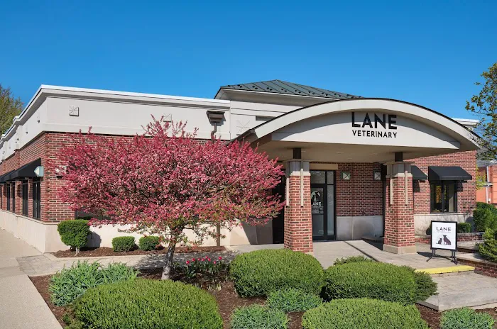 Lane Veterinary Picture 8