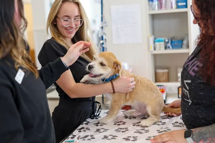 Lane Veterinary Picture 5