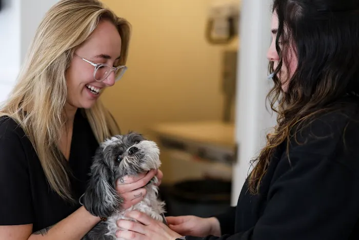 Lane Veterinary Picture 9