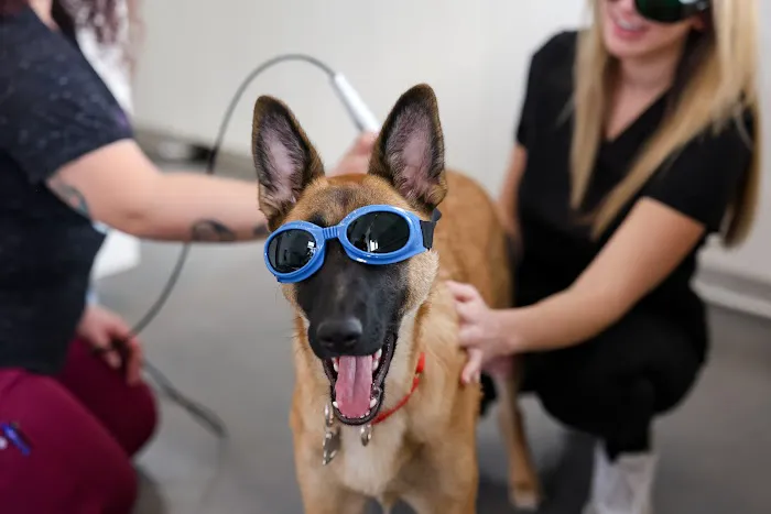 Lane Veterinary Picture 3