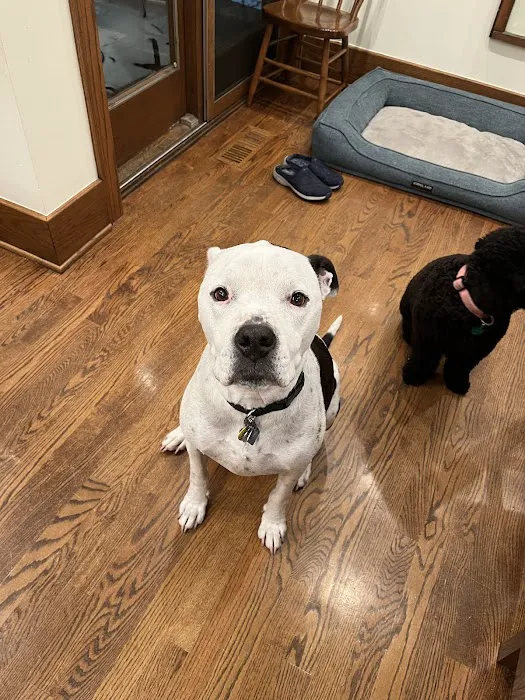 Lane Veterinary Picture 6