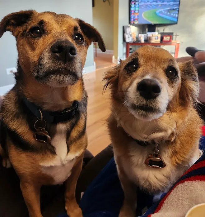 Hillchester Animal Hospital Picture 7