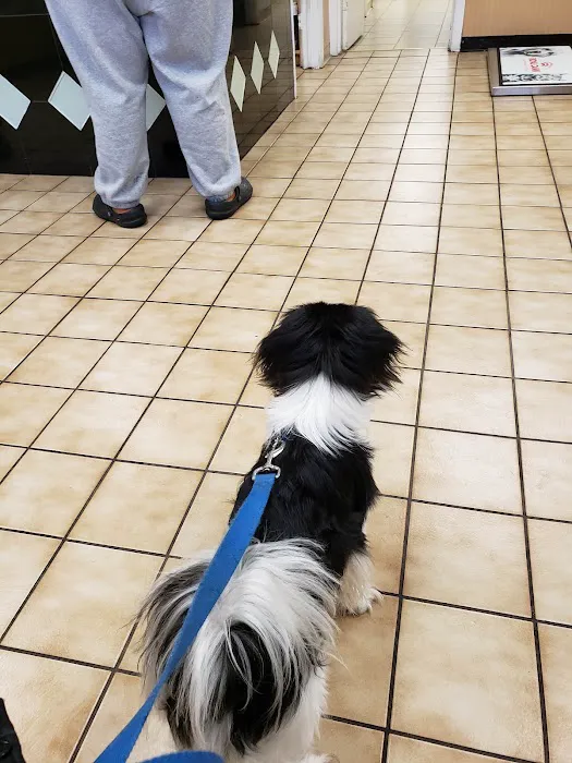 Animal Hospital of Stone Park Picture 6
