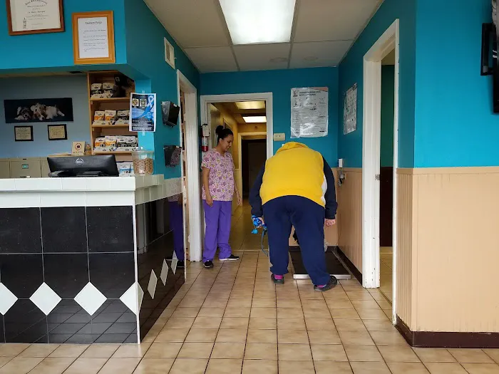 Animal Hospital of Stone Park Picture 7