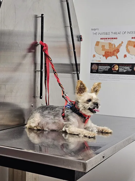 Melrose Park Animal Hospital - IMMEDIATE CARE - Picture 6