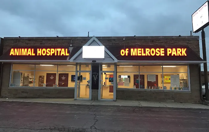 Melrose Park Animal Hospital - IMMEDIATE CARE - Picture 1