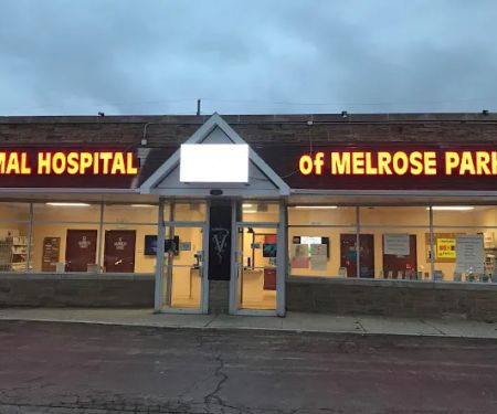 Melrose Park Animal Hospital - IMMEDIATE CARE -