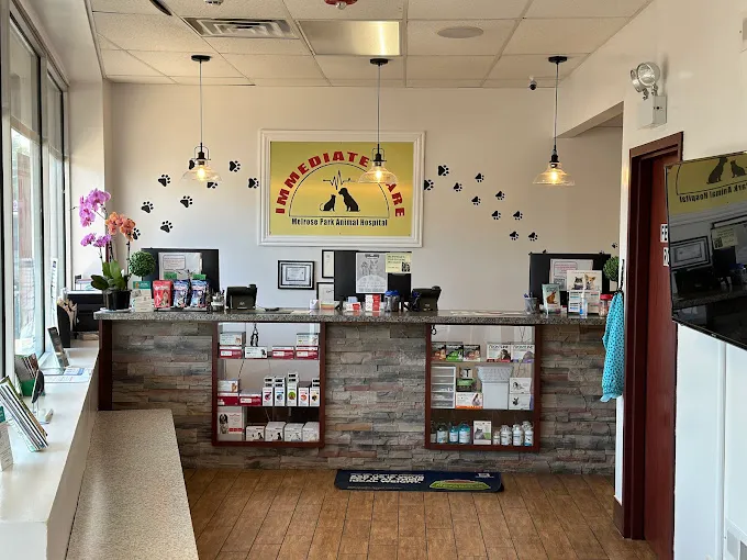 Melrose Park Animal Hospital - IMMEDIATE CARE - Picture 9