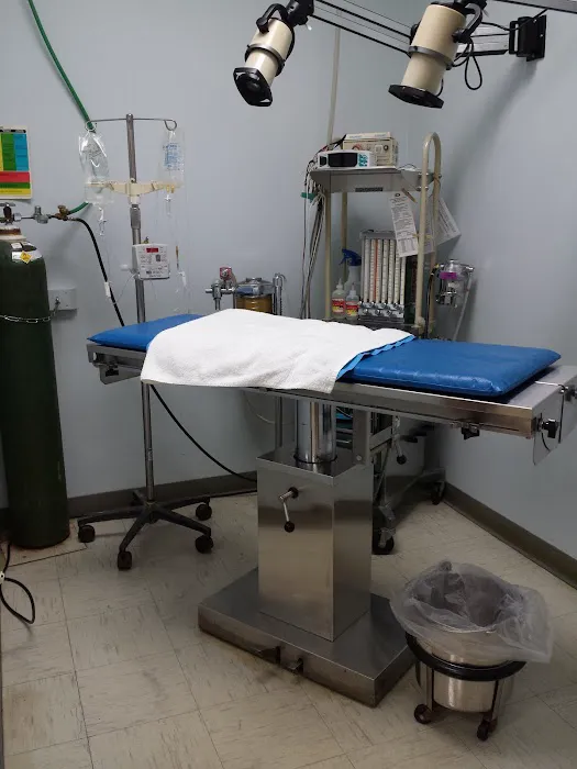 WillowGrove Pet Clinic Picture 1