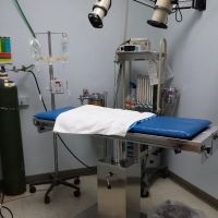 WillowGrove Pet Clinic ico