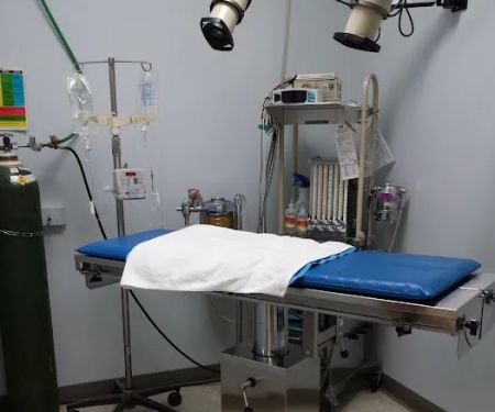WillowGrove Pet Clinic