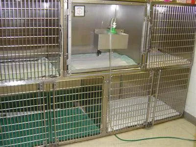 WillowGrove Pet Clinic Picture 2