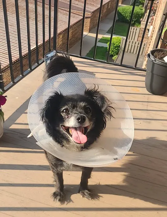 Park Animal Hospital Picture 8