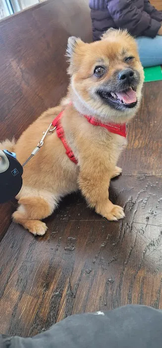 Park Animal Hospital Picture 9