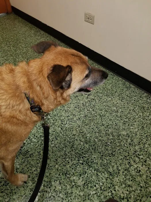 Park Animal Hospital Picture 4