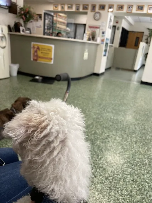 Park Animal Hospital Picture 2