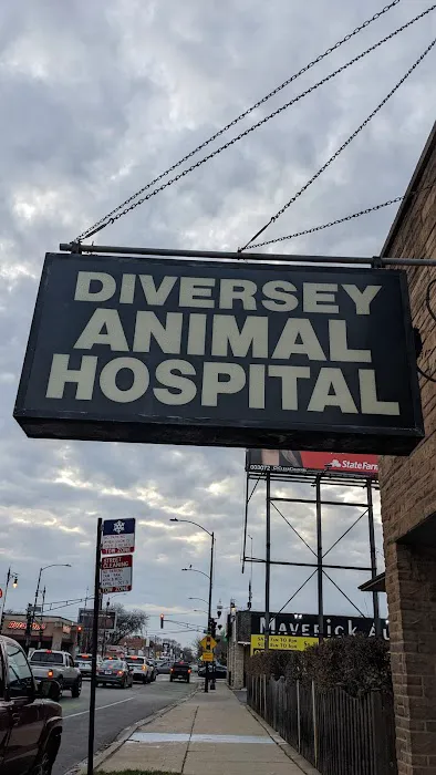 Diversey Animal Hospital Picture 2