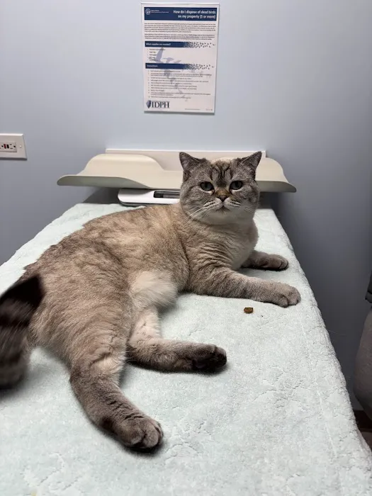 Grand Avenue Animal Hospital Picture 5