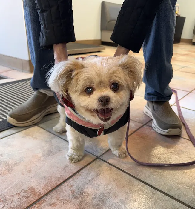 Grand Avenue Animal Hospital Picture 9