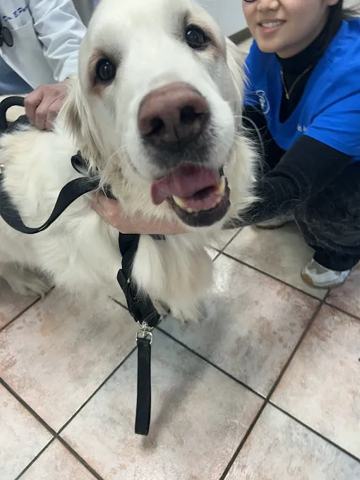 Grand Avenue Animal Hospital Picture 7