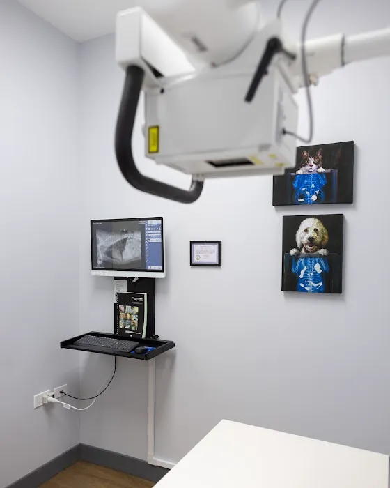 Fauna Veterinary Care Picture 3