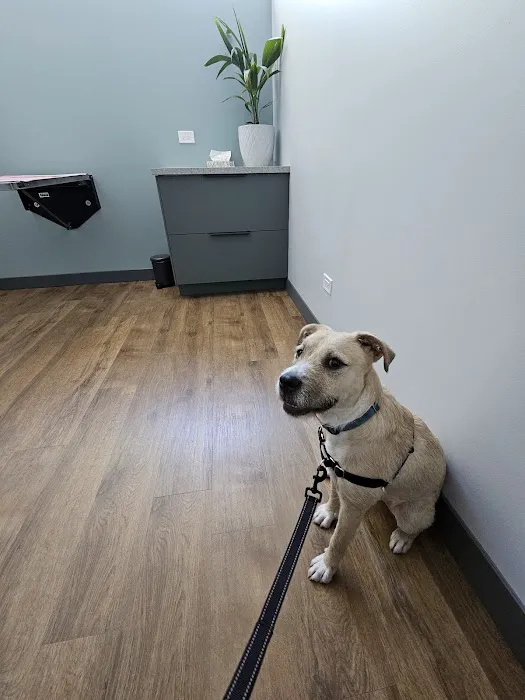 Fauna Veterinary Care Picture 2