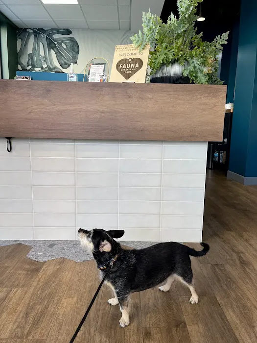Fauna Veterinary Care Picture 4