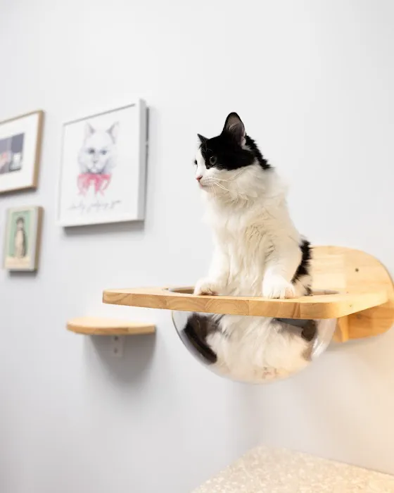 Fauna Veterinary Care Picture 5