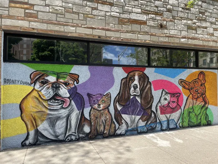 Fauna Veterinary Care Picture 9