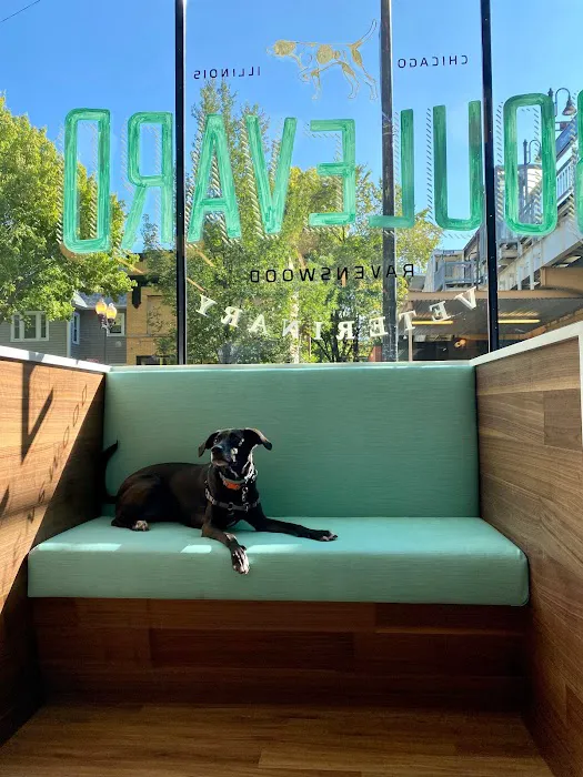 BLVD Vet Ravenswood Picture 10