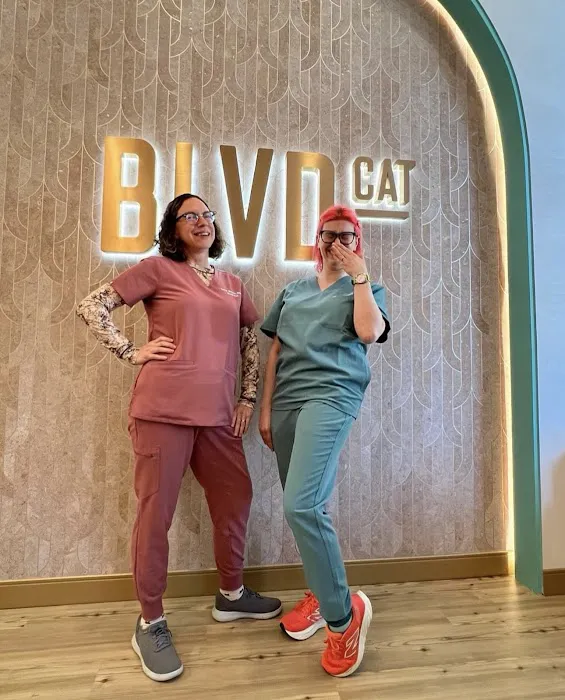 BLVD Cat Picture 5