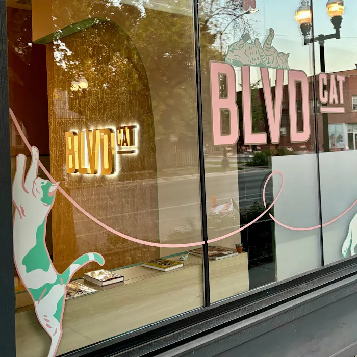 BLVD Cat Picture 10