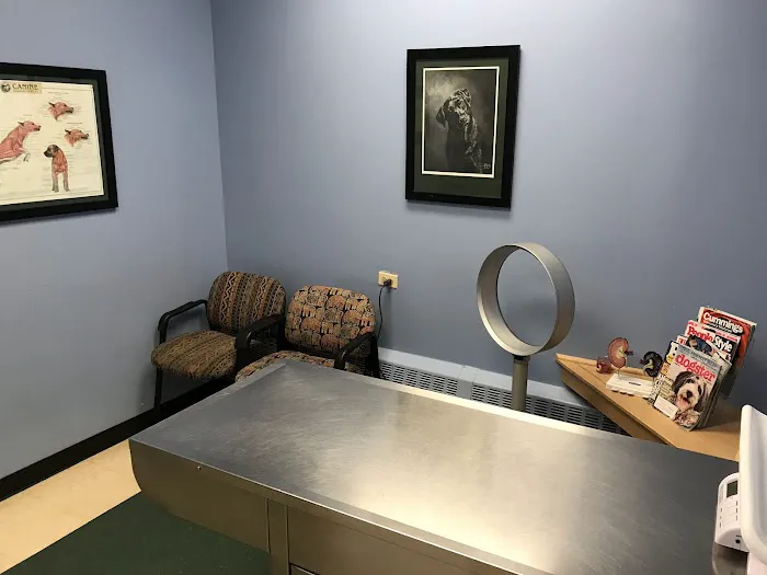 Lincoln Square Animal Hospital Picture 3