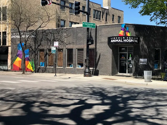 Lincoln Square Animal Hospital Picture 2