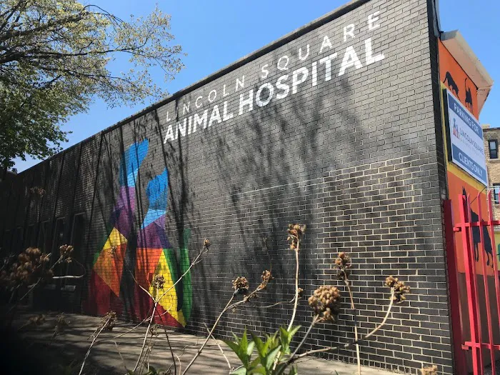 Lincoln Square Animal Hospital Picture 8