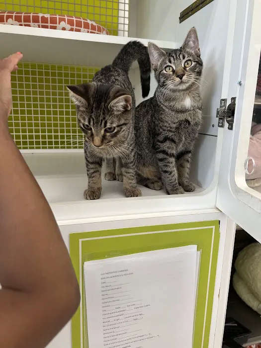 Shelter Veterinary Solutions Picture 2