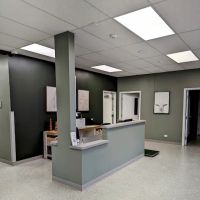 Shelter Veterinary Solutions ico