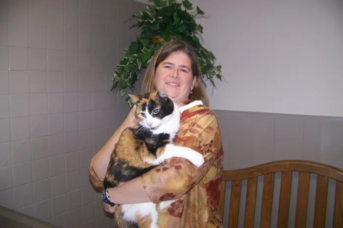 VCA Chicago North Animal Hospital Picture 7