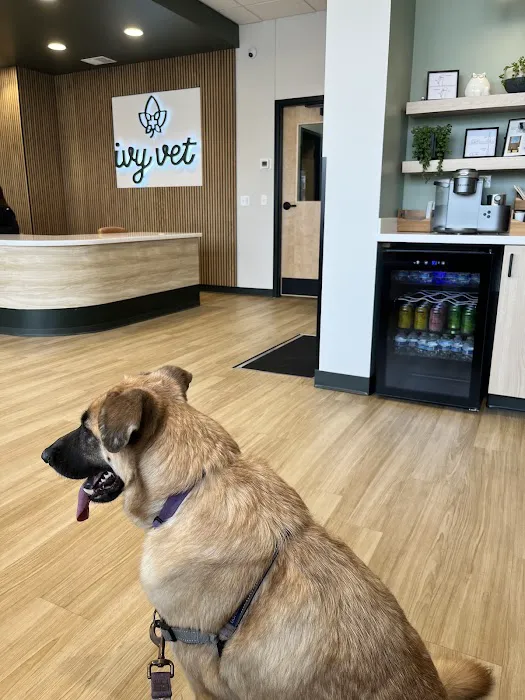 Ivy Veterinary Care Picture 1