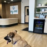 Ivy Veterinary Care ico