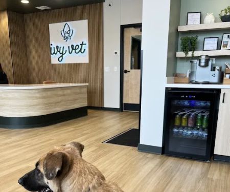 Ivy Veterinary Care