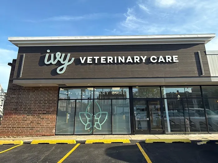 Ivy Veterinary Care Picture 9