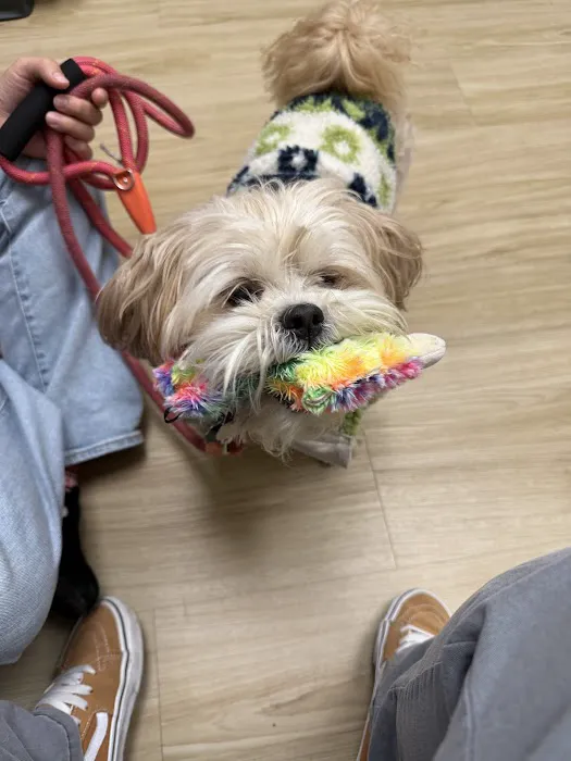 Ivy Veterinary Care Picture 5