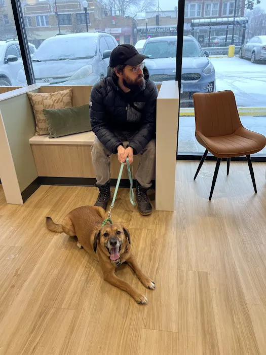 Ivy Veterinary Care Picture 10